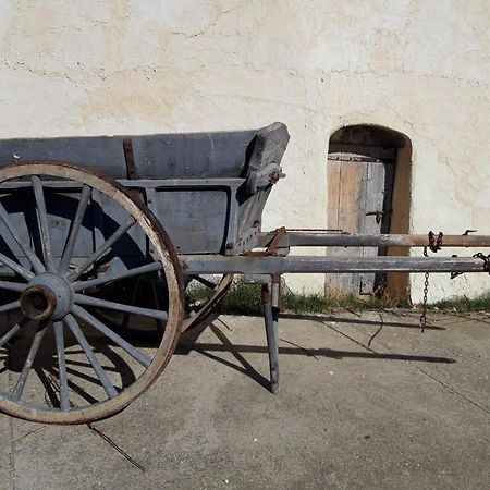 Nid De Poussins Daire Vaumeilh Dış mekan fotoğraf